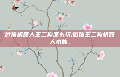 微信机器人王二狗怎么玩;微信王二狗机器人功能。