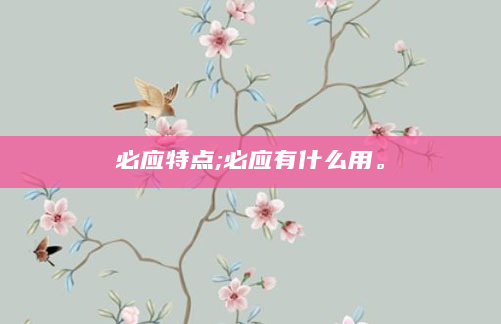 必应特点;必应有什么用。