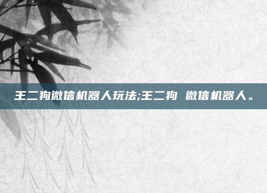 王二狗微信机器人玩法;王二狗 微信机器人。