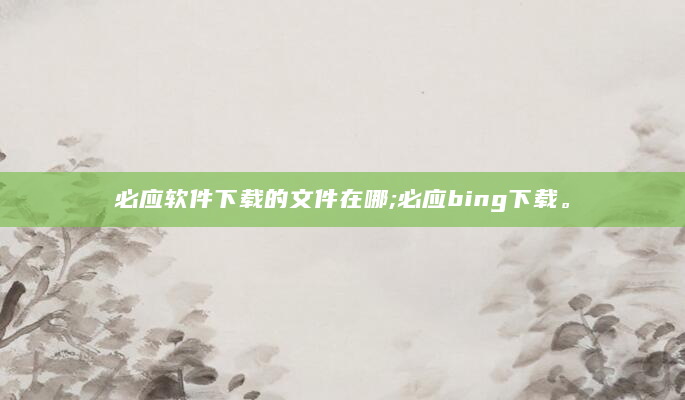 必应软件下载的文件在哪;必应bing下载。