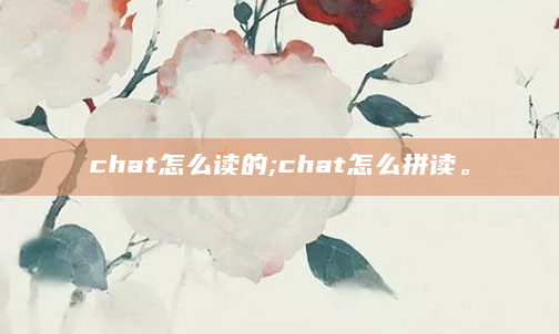 chat怎么读的;chat怎么拼读。