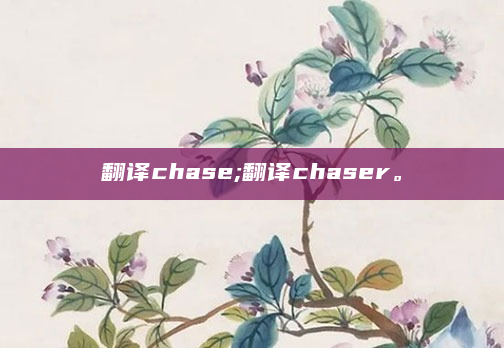 翻译chase;翻译chaser。