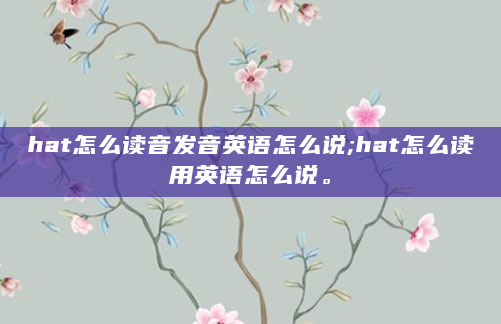hat怎么读音发音英语怎么说;hat怎么读用英语怎么说。