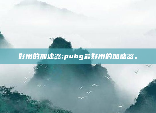 好用的加速器;pubg最好用的加速器。
