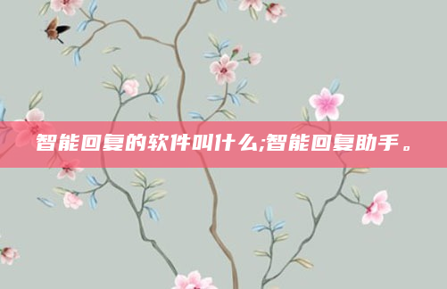 智能回复的软件叫什么;智能回复助手。
