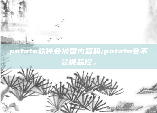 potato软件会被国内查吗;potato会不会被监控。