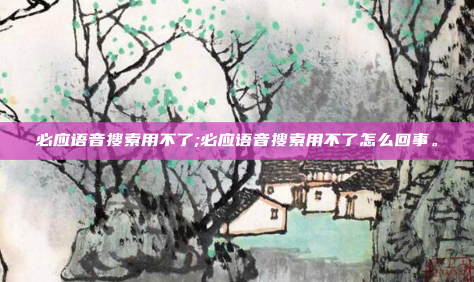 必应语音搜索用不了;必应语音搜索用不了怎么回事。