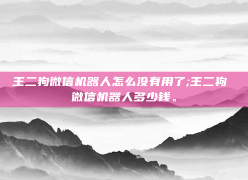 王二狗微信机器人怎么没有用了;王二狗 微信机器人多少钱。