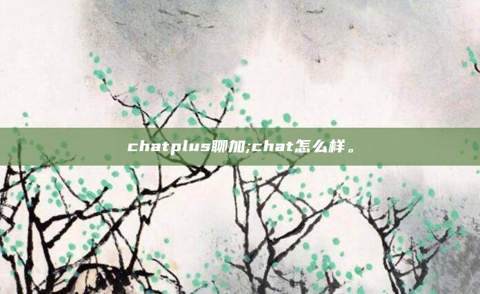 chatplus聊加;chat怎么样。