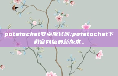 potatochat安卓版官网;potatochat下载官网版最新版本。