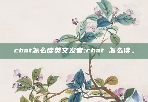 chat怎么读英文发音;chat 怎么读。