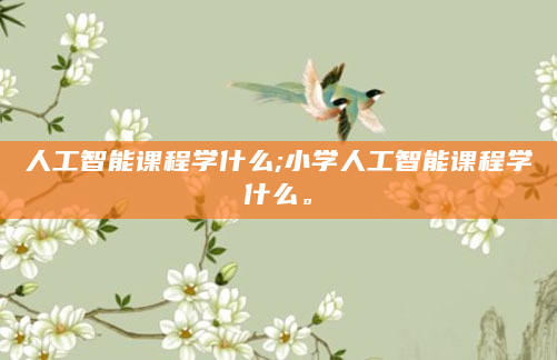 人工智能课程学什么;小学人工智能课程学什么。