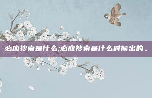 必应搜索是什么;必应搜索是什么时候出的。