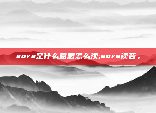 sora是什么意思怎么渎;sora读音。