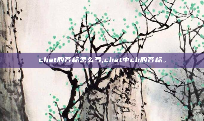 chat的音标怎么写;chat中ch的音标。