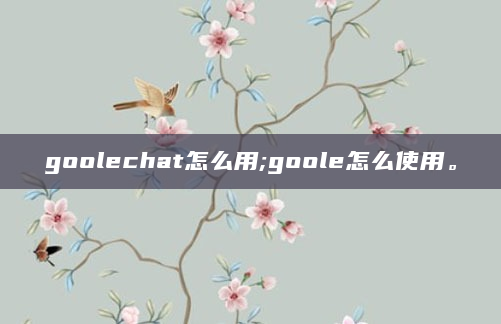 goolechat怎么用;goole怎么使用。
