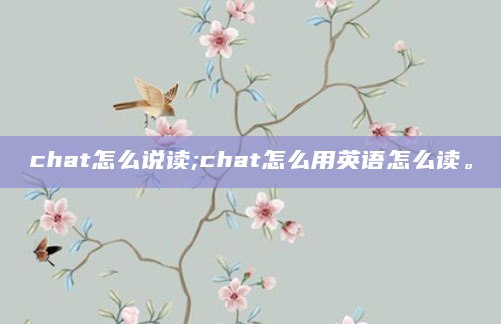 chat怎么说读;chat怎么用英语怎么读。