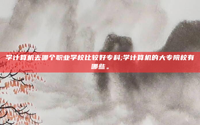 学计算机去哪个职业学校比较好专科;学计算机的大专院校有哪些。