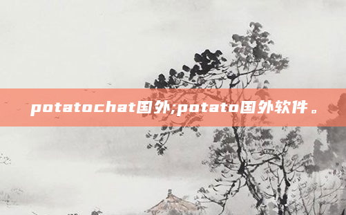 potatochat国外;potato国外软件。