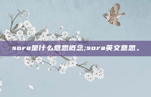 sora是什么意思概念;sora英文意思。