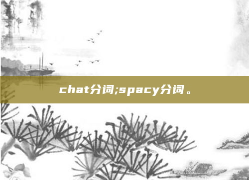 chat分词;spacy分词。