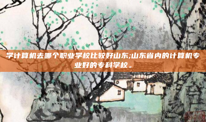 学计算机去哪个职业学校比较好山东;山东省内的计算机专业好的专科学校。