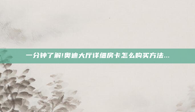 一分钟了解!奥迪大厅详细房卡怎么购买方法...