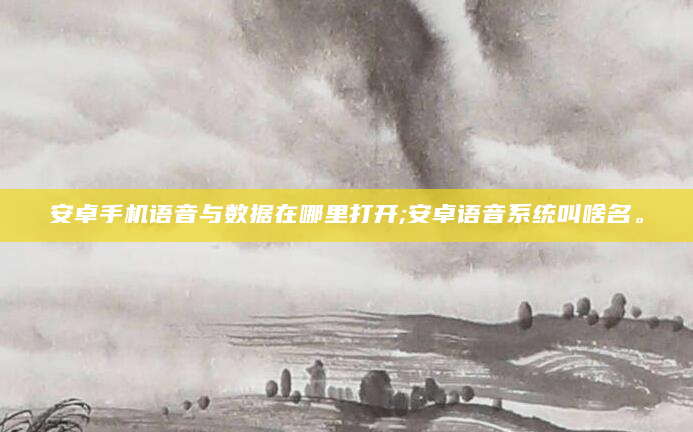 安卓手机语音与数据在哪里打开;安卓语音系统叫啥名。