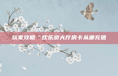玩家攻略“欢乐游大厅房卡从哪充值