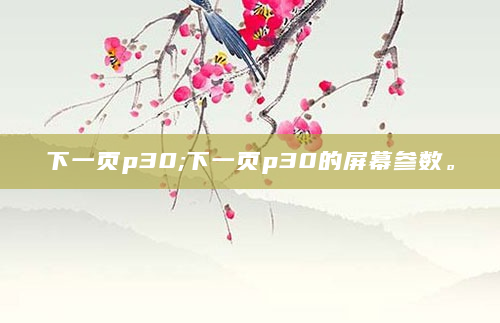 下一页p30;下一页p30的屏幕参数。