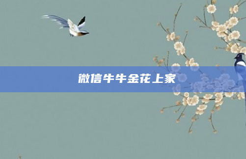 微信牛牛金花上家
