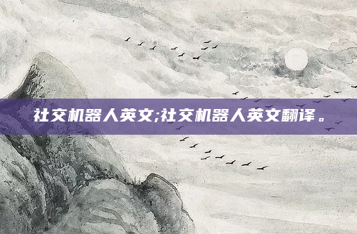 社交机器人英文;社交机器人英文翻译。
