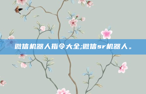 微信机器人指令大全;微信sr机器人。