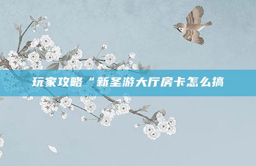 玩家攻略“新圣游大厅房卡怎么搞