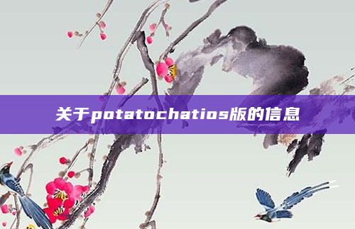 关于potatochatios版的信息