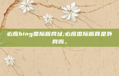 必应bing国际版网址;必应国际版算是外网吗。