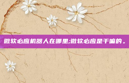 微软必应机器人在哪里;微软必应是干嘛的。
