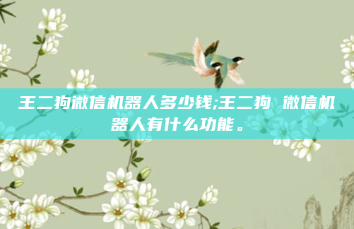 王二狗微信机器人多少钱;王二狗 微信机器人有什么功能。