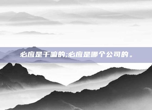 必应是干嘛的;必应是哪个公司的。