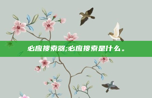 必应搜索器;必应搜索是什么。