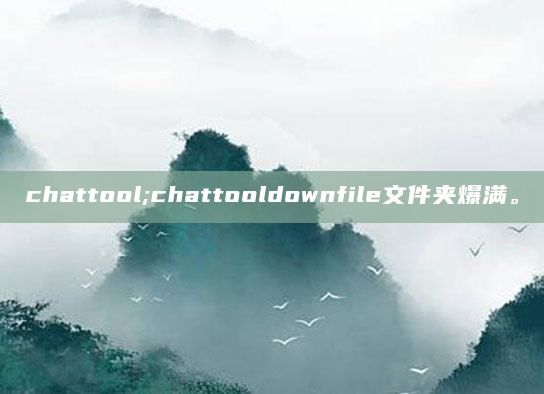 chattool;chattooldownfile文件夹爆满。