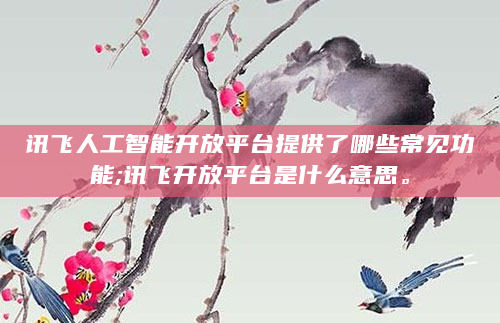 讯飞人工智能开放平台提供了哪些常见功能;讯飞开放平台是什么意思。