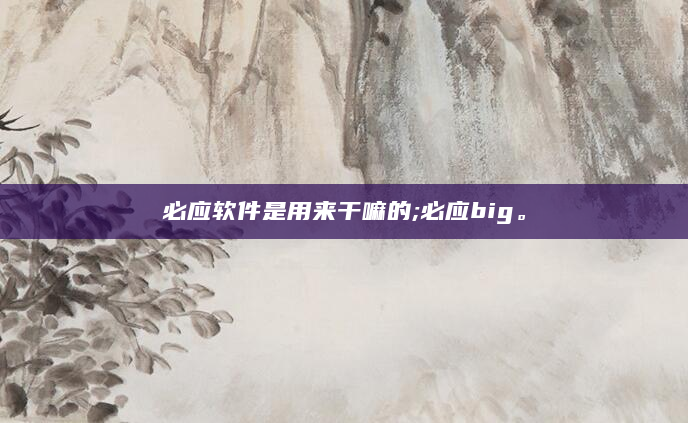 必应软件是用来干嘛的;必应big。