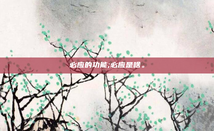 必应的功能;必应是啥。