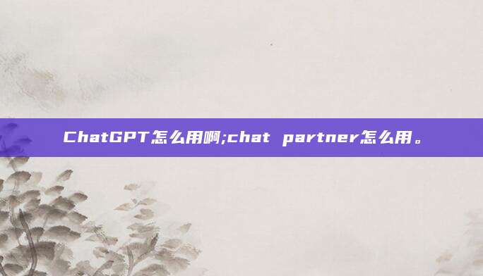 ChatGPT怎么用啊;chat partner怎么用。