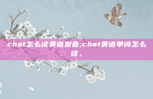 chat怎么读英语发音;chat英语单词怎么读。