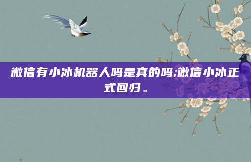 微信有小冰机器人吗是真的吗;微信小冰正式回归。