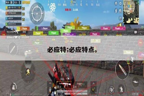 必应特;必应特点。